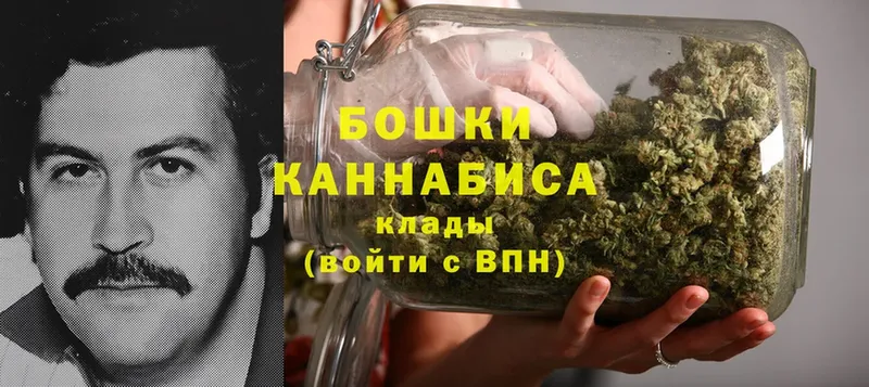 Марихуана OG Kush  Приморск 